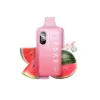 Watermelon Ice