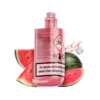 Watermelon Ice